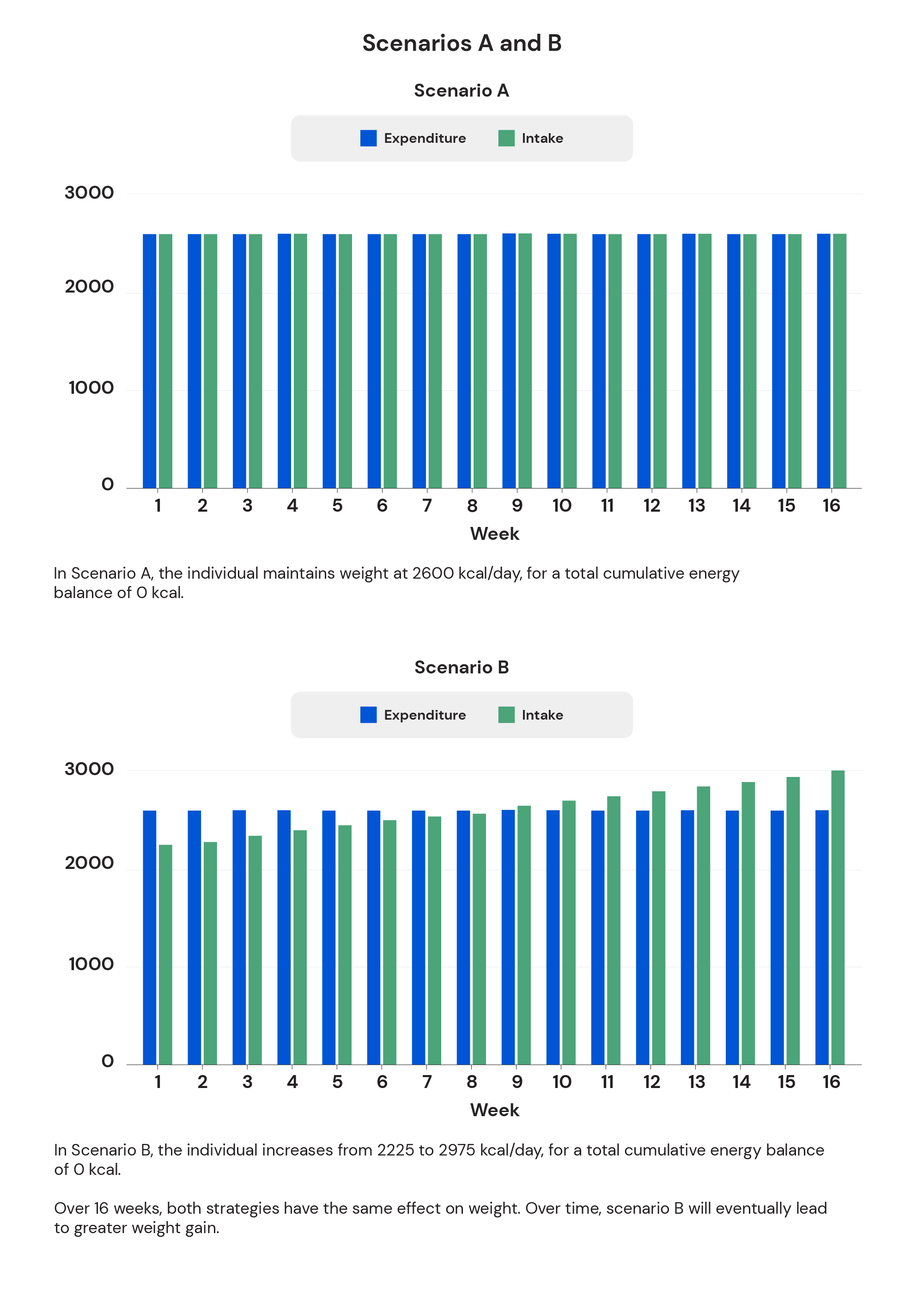 maintenance period vs reverse dieting scenarios show similar outcomes