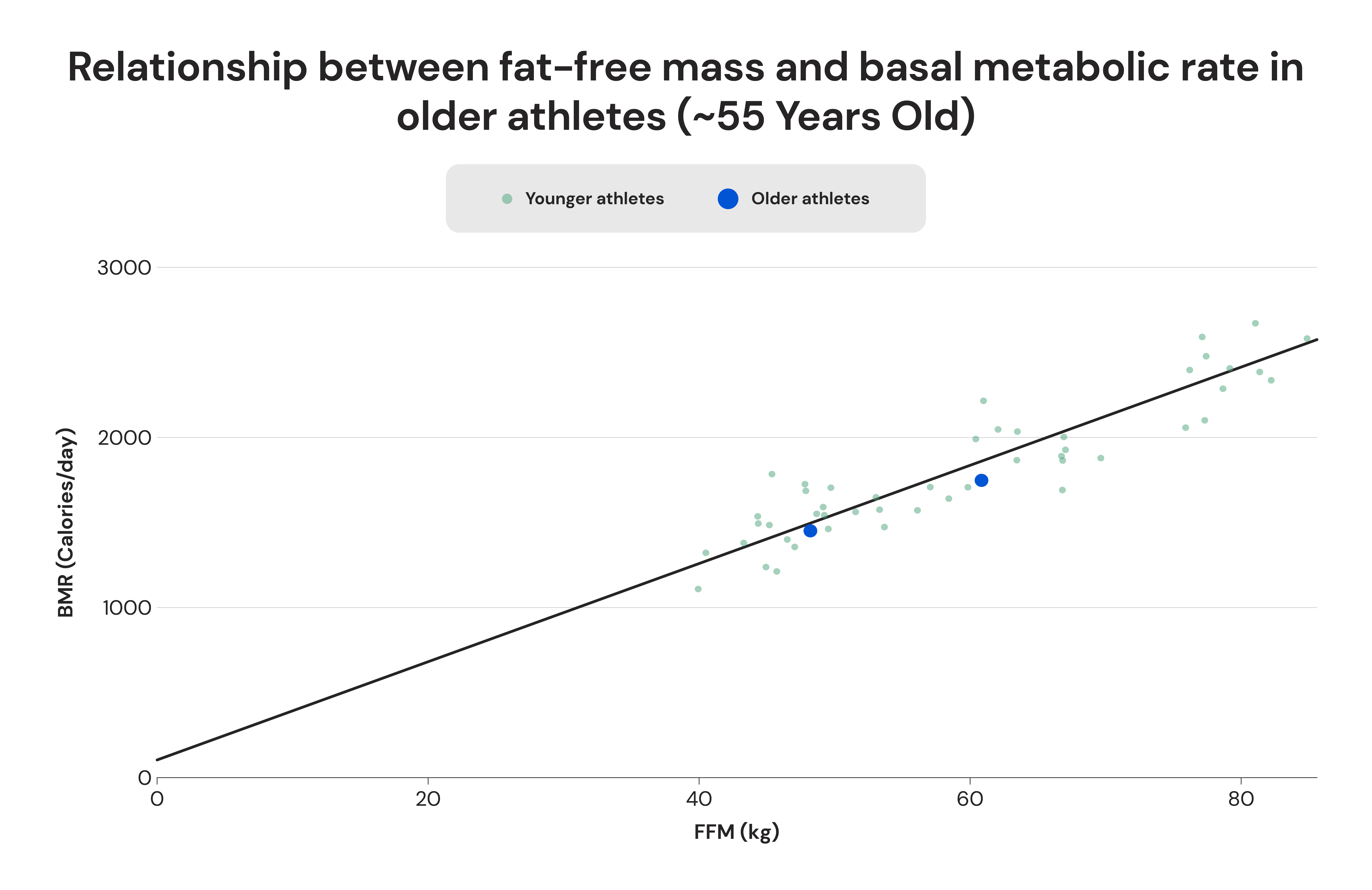 Relationship between fat-free mass and basal metabolic rate in older athletes