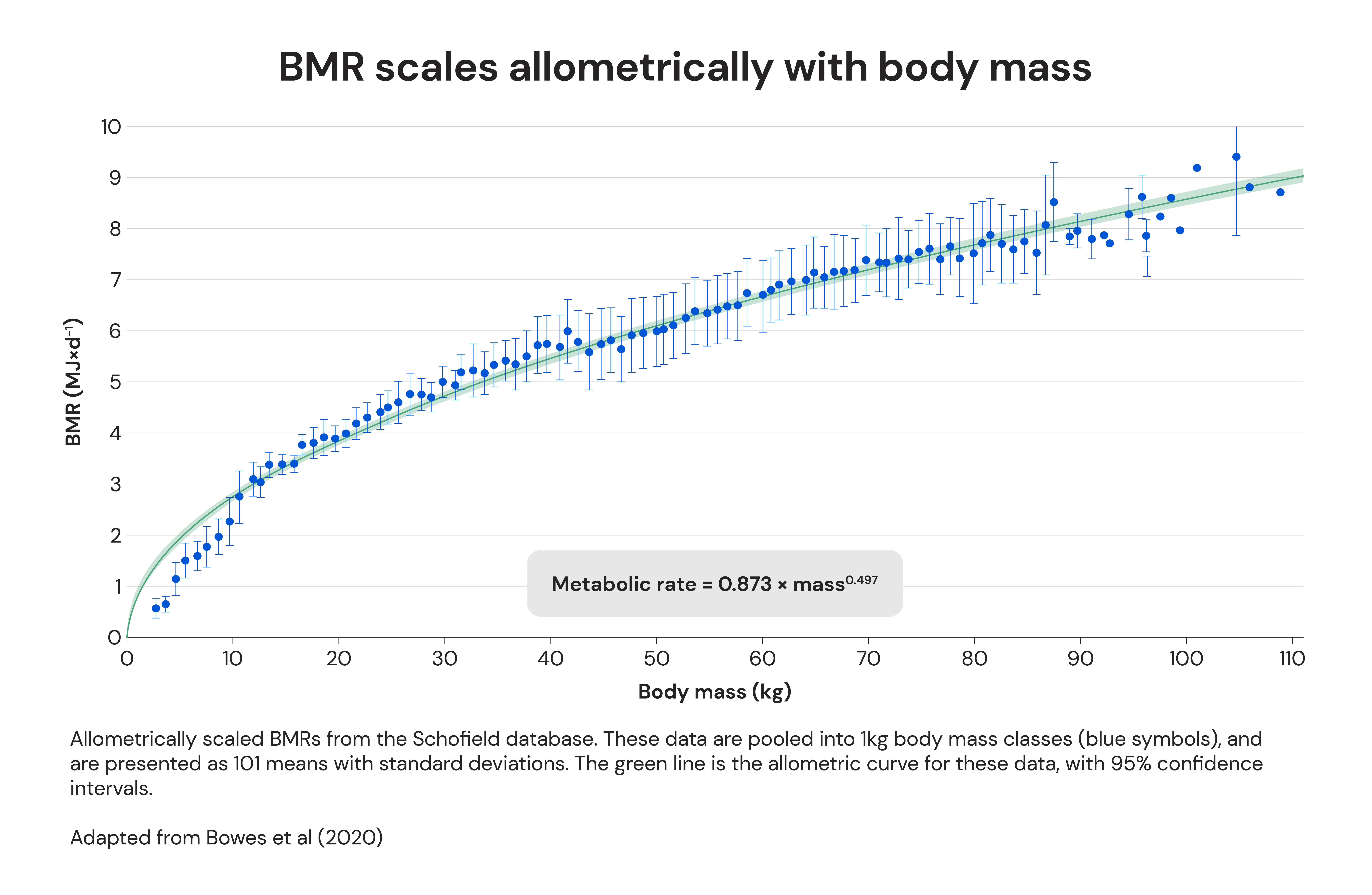 BMR scales allometrically with body mass