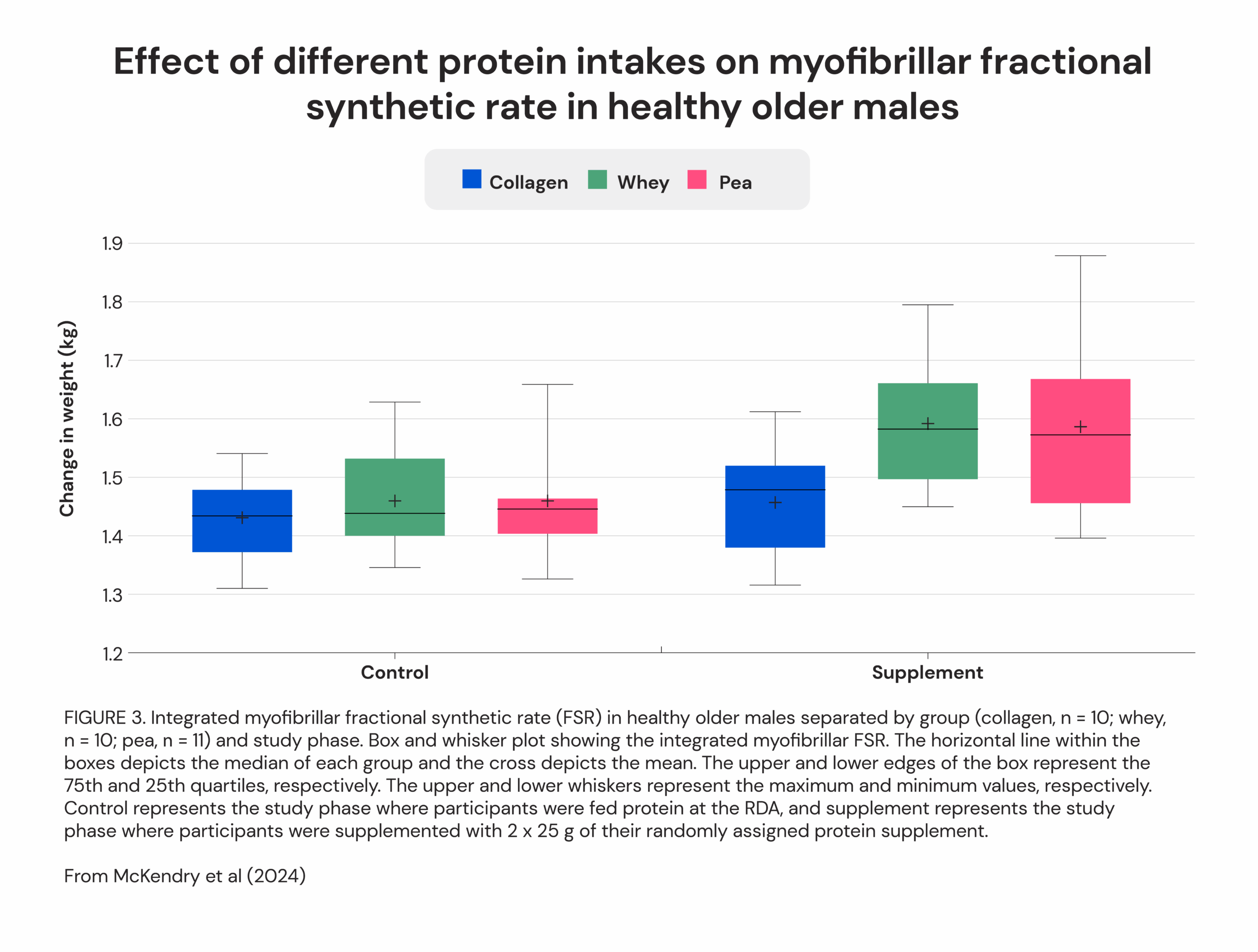 Effect of different protein intake on myofibrillar fractional synthetic rate in healthy older males