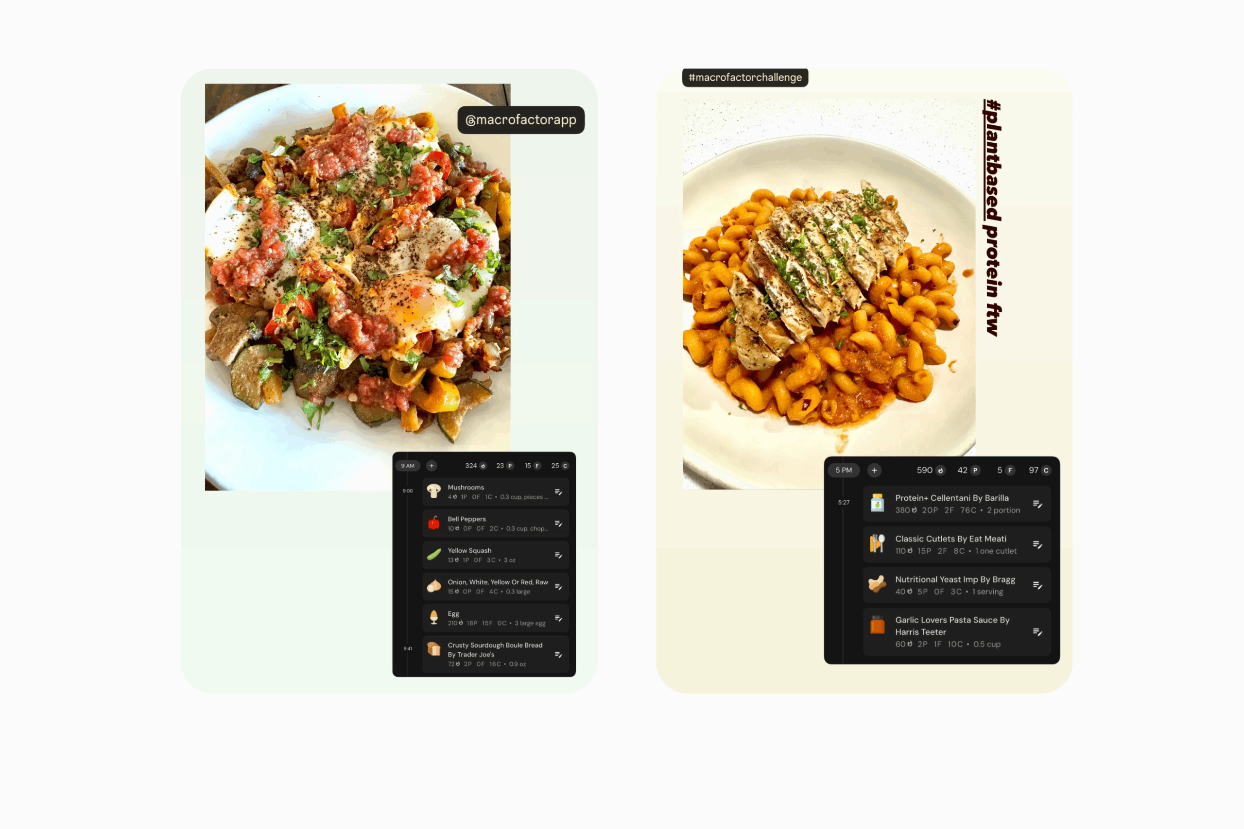 Molly's meals