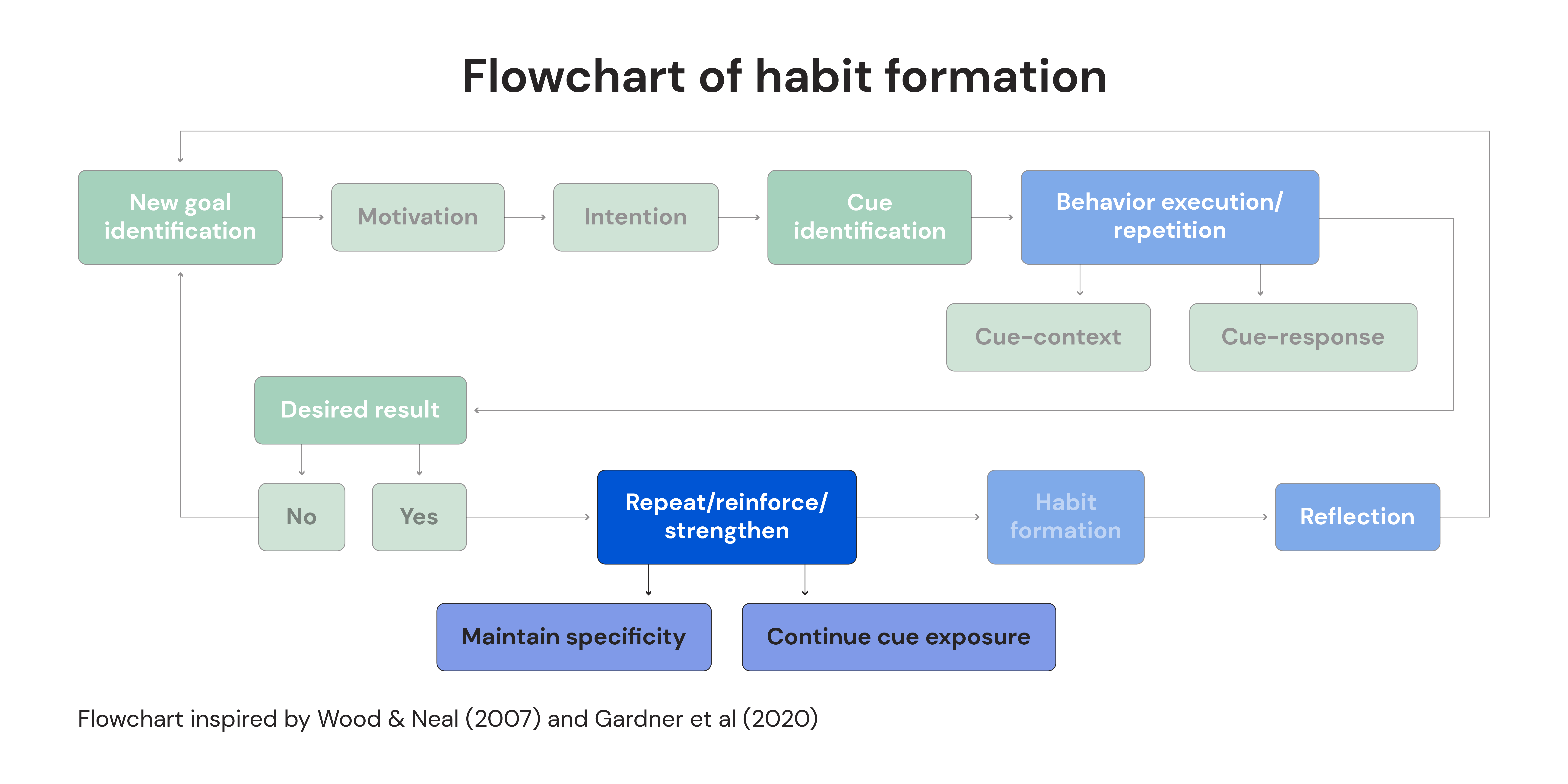 Flowchart of habit formation: Repeat/ reinforce/strengthen & Maintain specificity and Continue cue exposure
