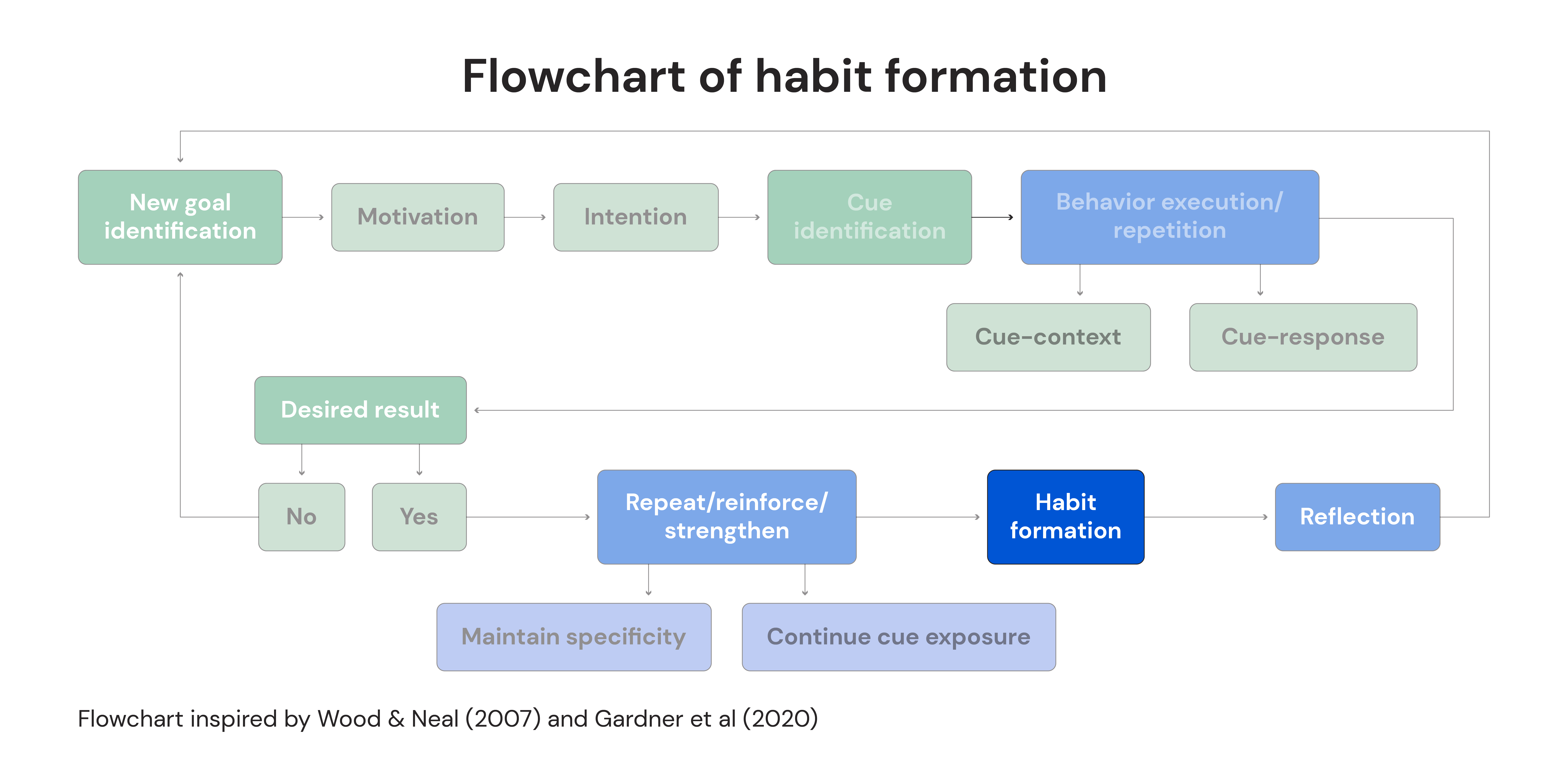 Flowchart of habit formation: Habit formation