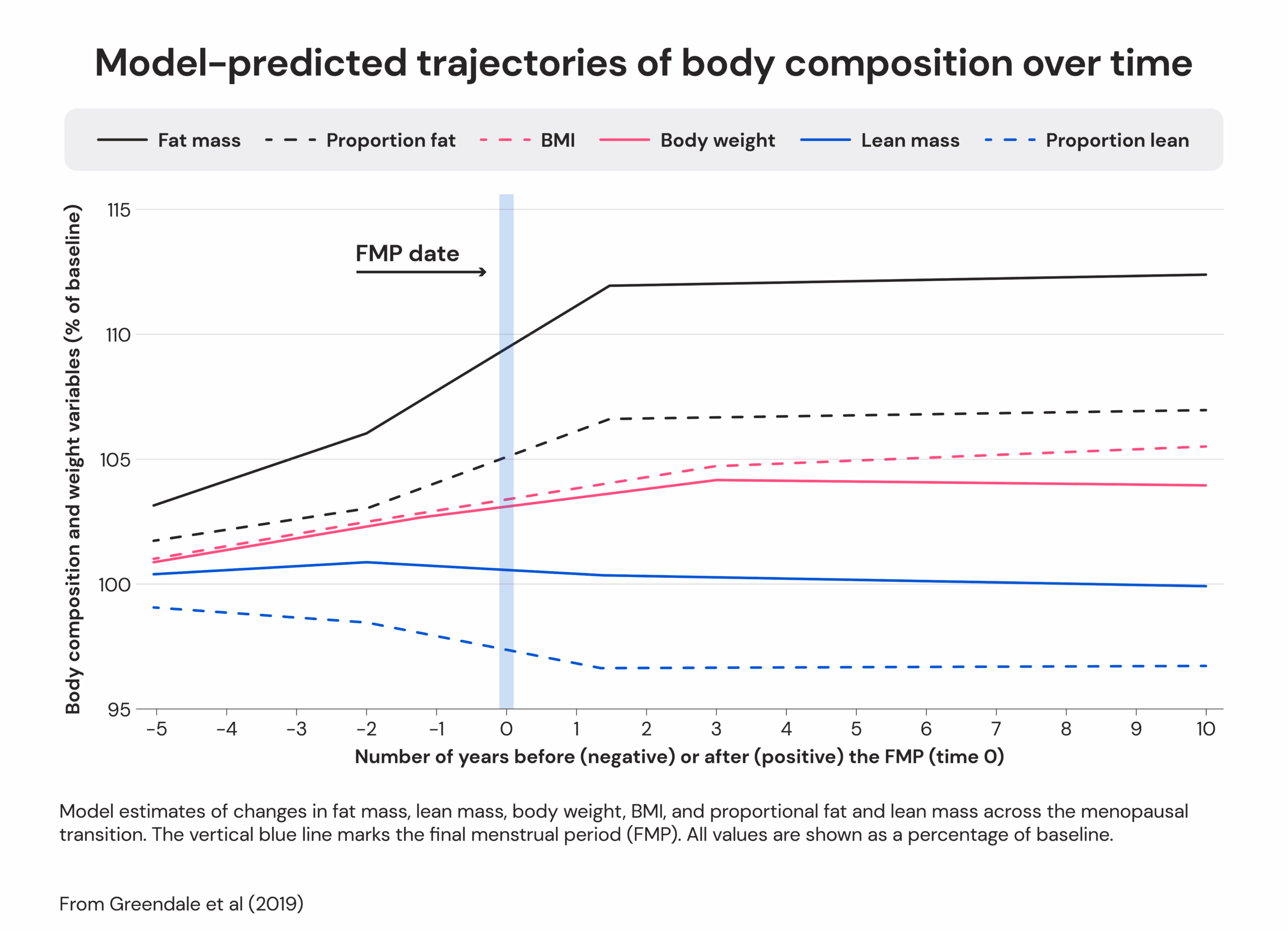 Model-predicted trajectories of body composition over time
