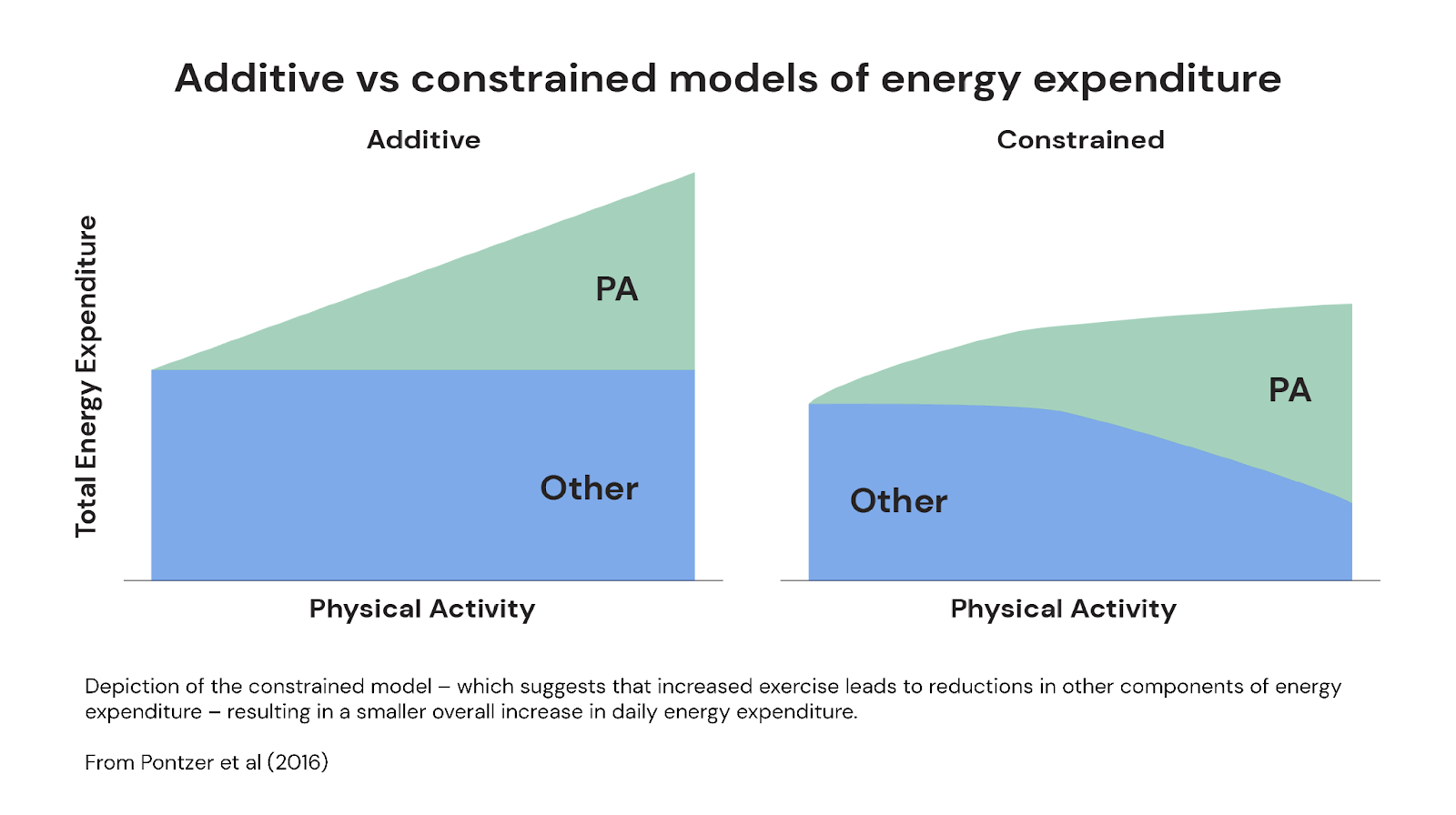 constrained energy model